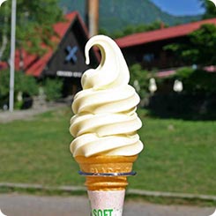 清泉寮ソフトクリーム