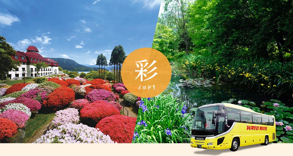 バラの花バスツアー（山のホテルつつじ・睡蓮）