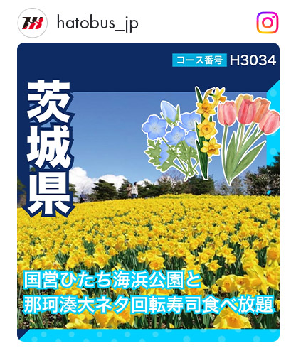 H3034
