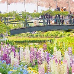 あしかがフラワーパーク