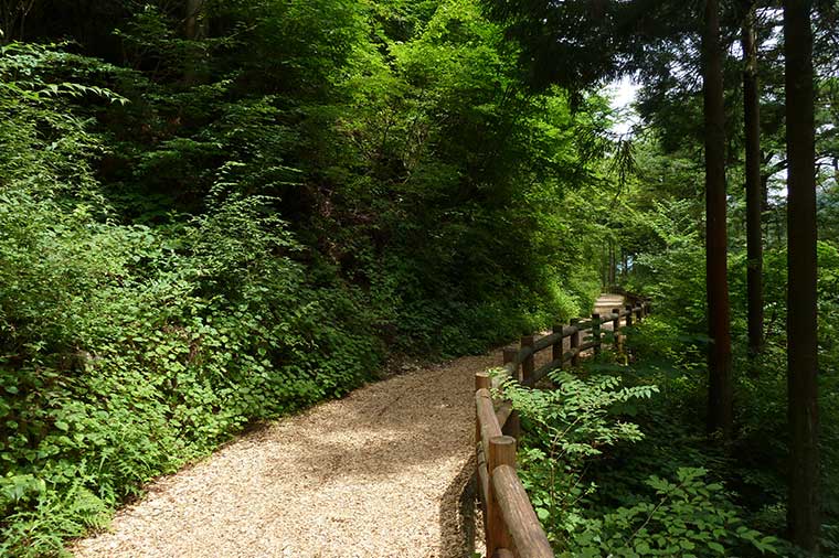 檜原村サステナブルツアー