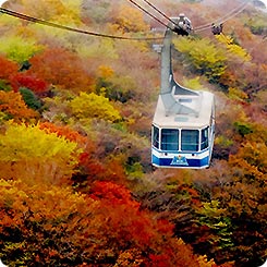 箱根駒ヶ岳ロープウェー・秋