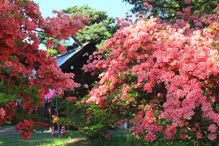 上田御屋敷公園
