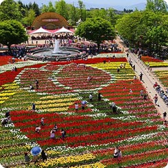 となみチューリップ