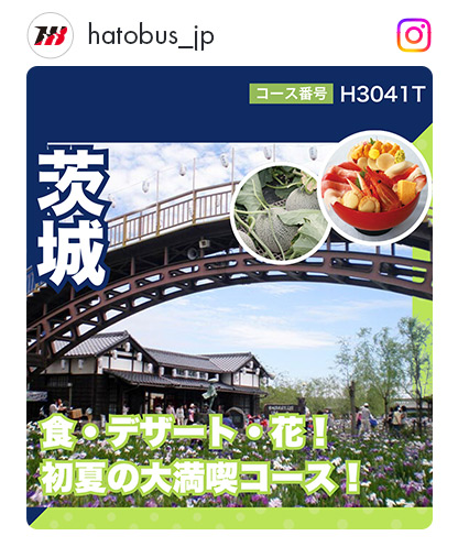 H3041T