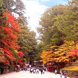 日光紅葉宿泊