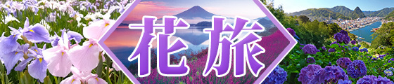 初夏の花旅特集2025