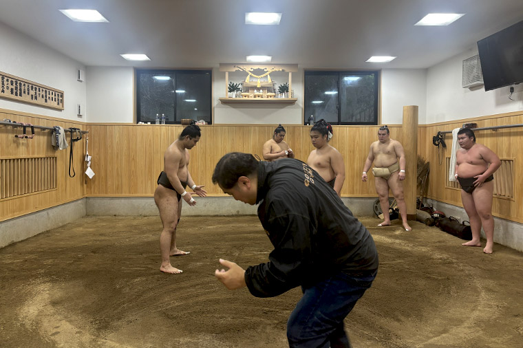 相撲・安治川部屋稽古