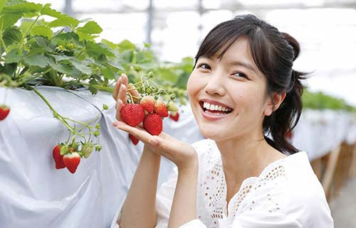いちご狩り