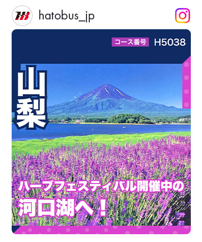 H5038