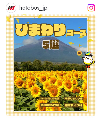 ひまわりインスタコース特集