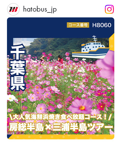 H8060
