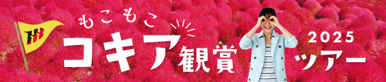 コキア特集2025・秋