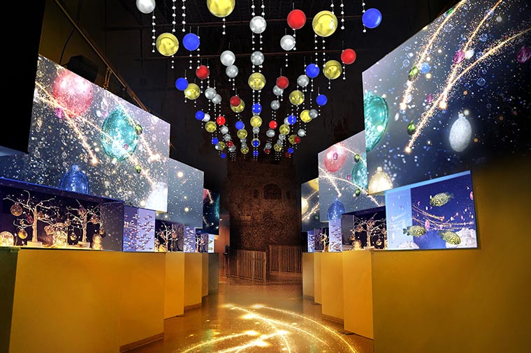 アクアパーク品川2025【クリスマスナイト】カラーズ