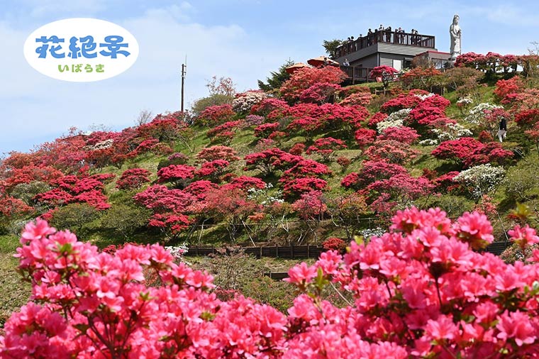 笠間つつじ公園