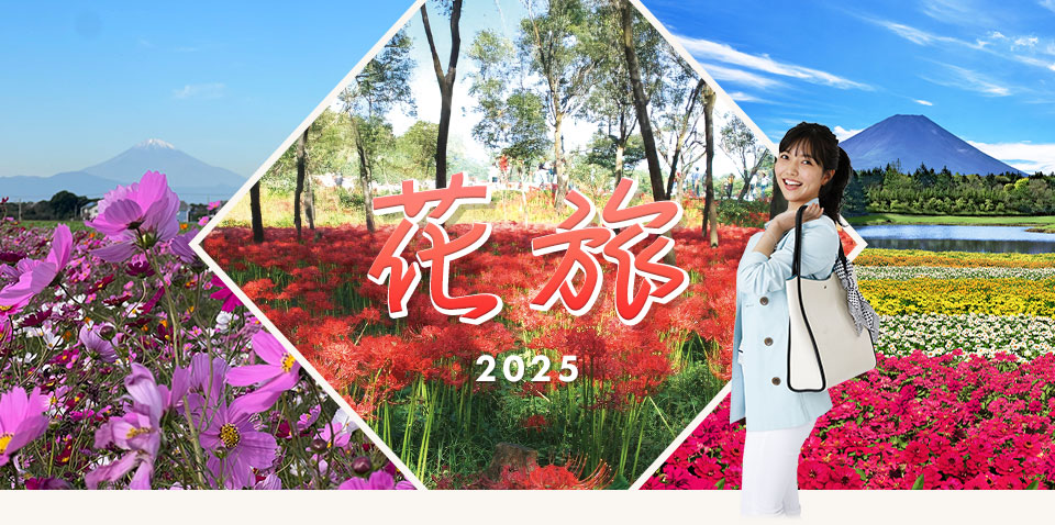コスモス・曼殊沙華・虹の花