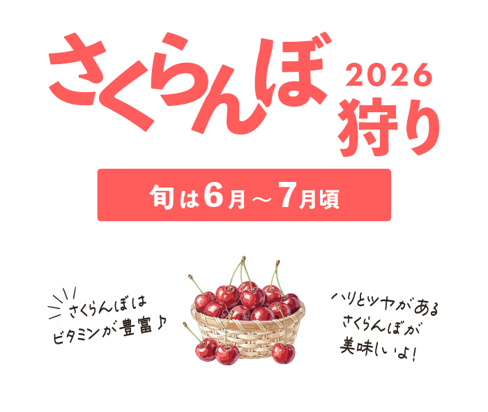 さくらんぼ狩り特集2026
