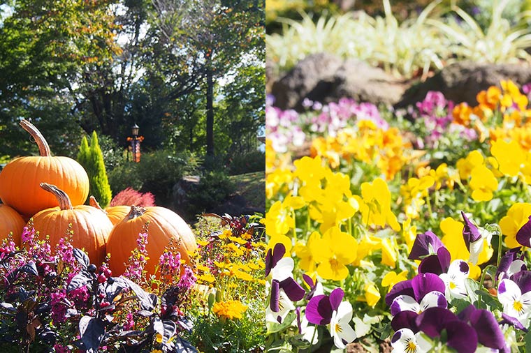 ハーブ庭園旅日記10月頃