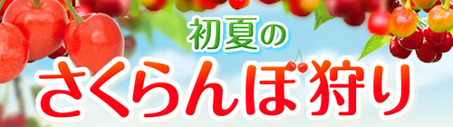 さくらんぼ狩り特集2026