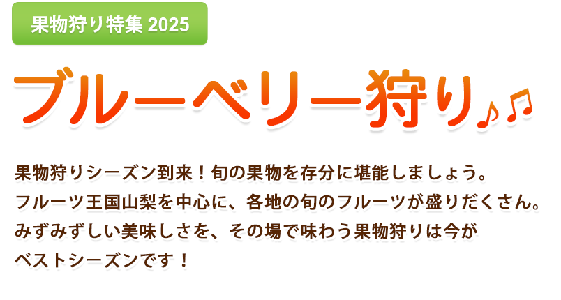 はとバスツアー・ブルーベリー狩り2025