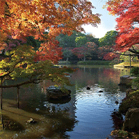 小石川後楽園