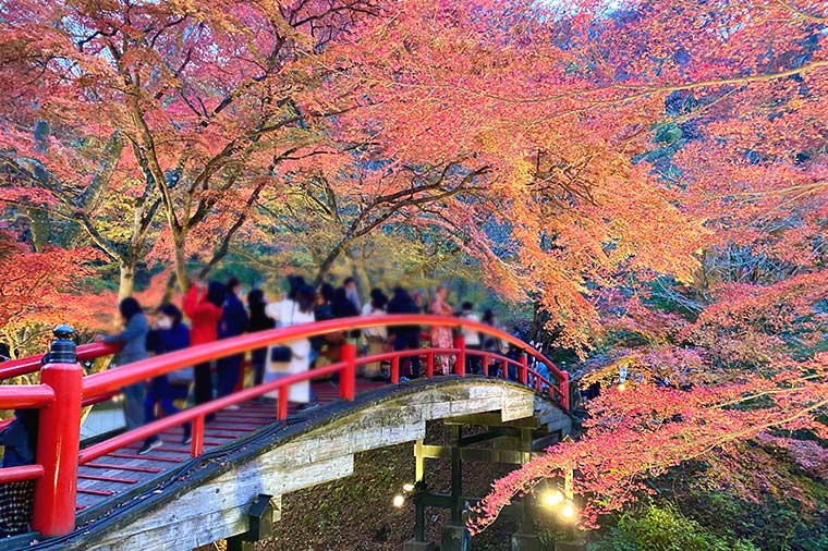 伊香保温泉・河鹿橋（11月上旬～中旬頃）