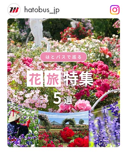 花旅特集5選