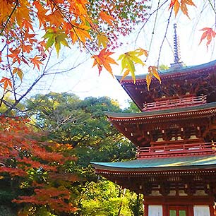 油山寺