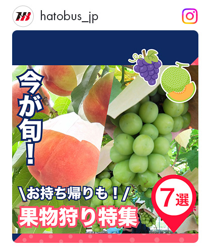 果物選