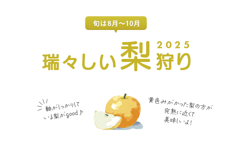 ブルーベリー狩り特集2025