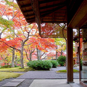 箱根美術館紅葉日帰り
