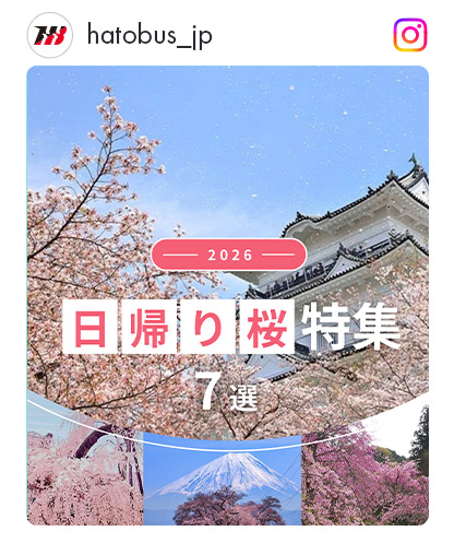 日帰り桜選