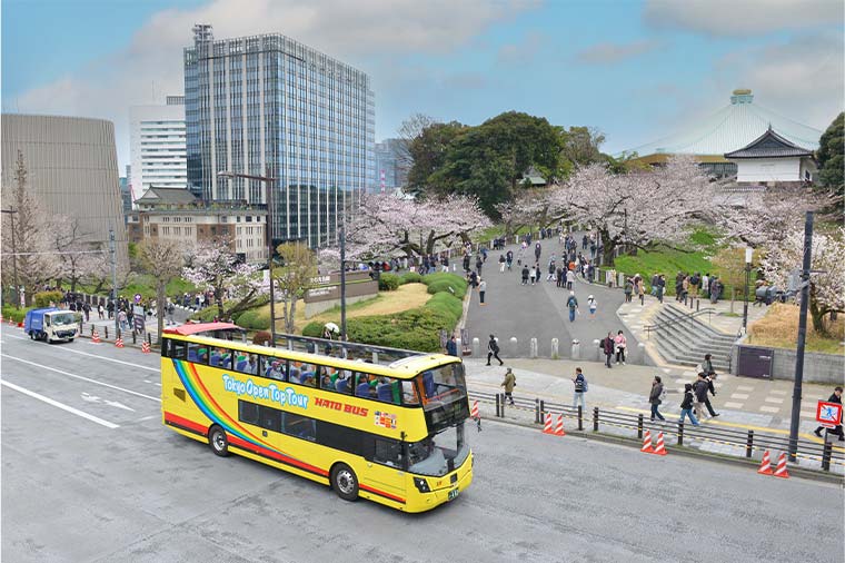 オープンバス・桜