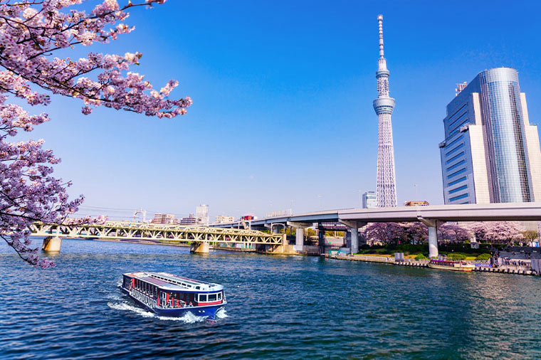 隅田川桜クルーズ