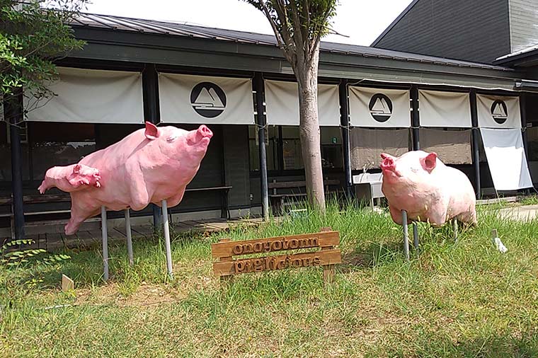 筑波ハム