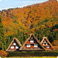 秋の白川郷