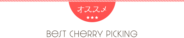 さくらんぼ狩りバスツアー
