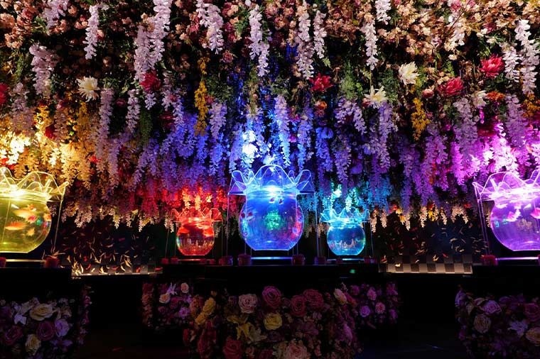 
アートアクアリウム・花魁花舞