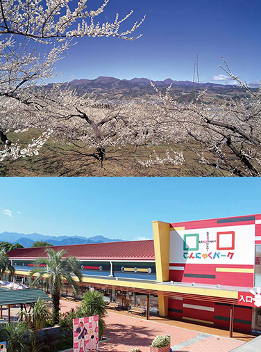 榛名梅林・こんにゃくパーク