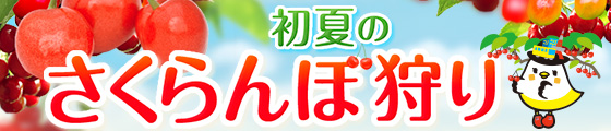 さくらんぼ狩り特集2026