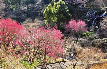 熱海梅園