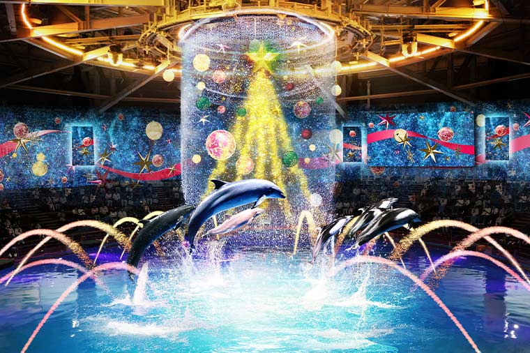 アクアパーク品川2025【クリスマスナイト】ナイトドルフィンパフォーマンス