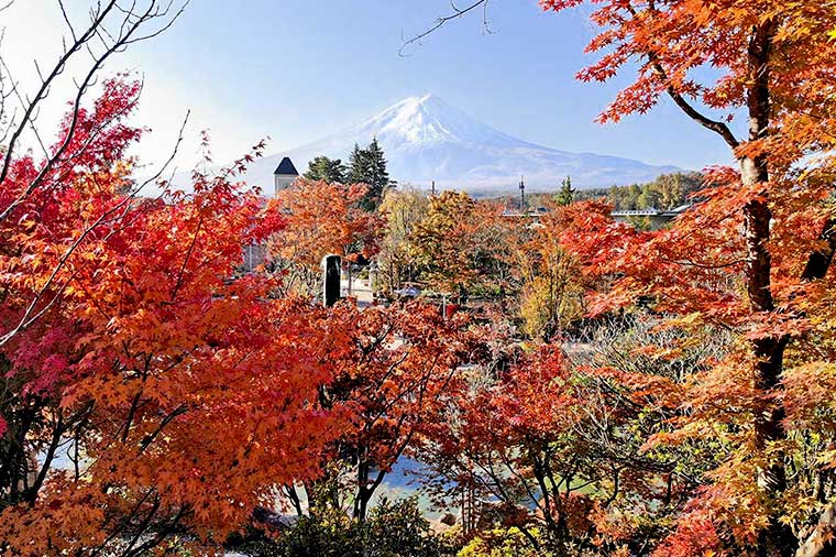 ハーブ庭園旅日記