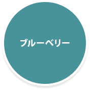 ブルーベリー狩り