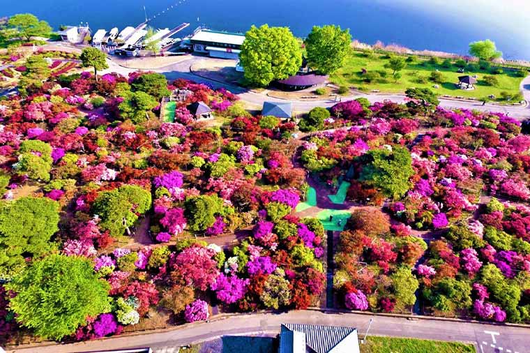 館林つつじが岡公園