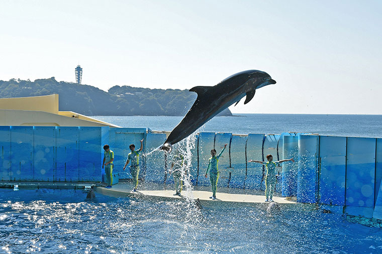 新江ノ島水族館