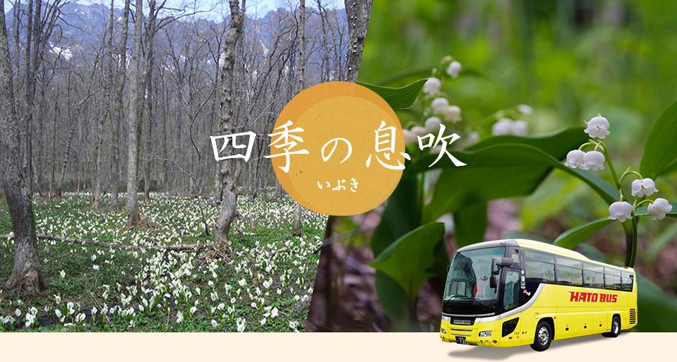四季の息吹・黄色（水芭蕉・すずらん）