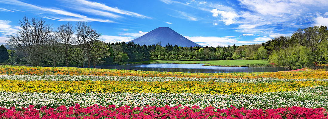 本栖湖・虹の花まつり
