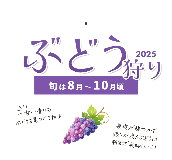 ぶどう狩り特集2025