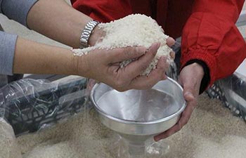 お米掬い